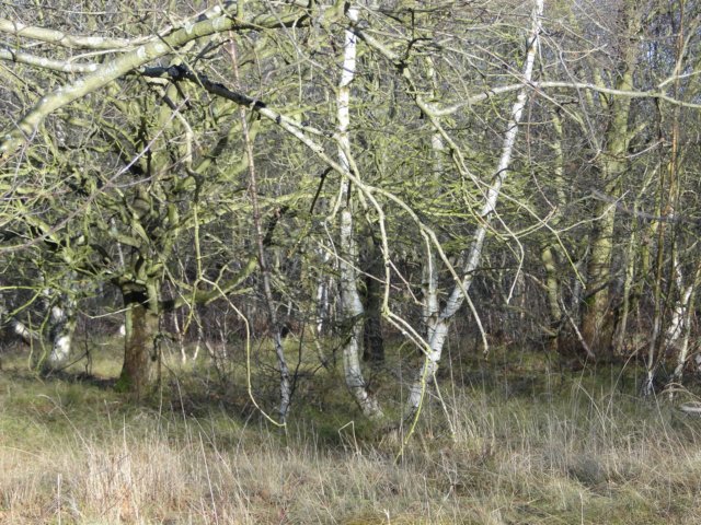 NWK 2010 177.jpg